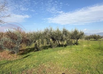 Foto 32 - Casa indipendente Via Torre del Duca
 
snc, Roccasecca - foto 32