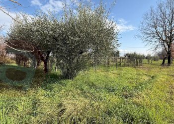 Foto 33 - Casa indipendente Via Torre del Duca
 
snc, Roccasecca - foto 33