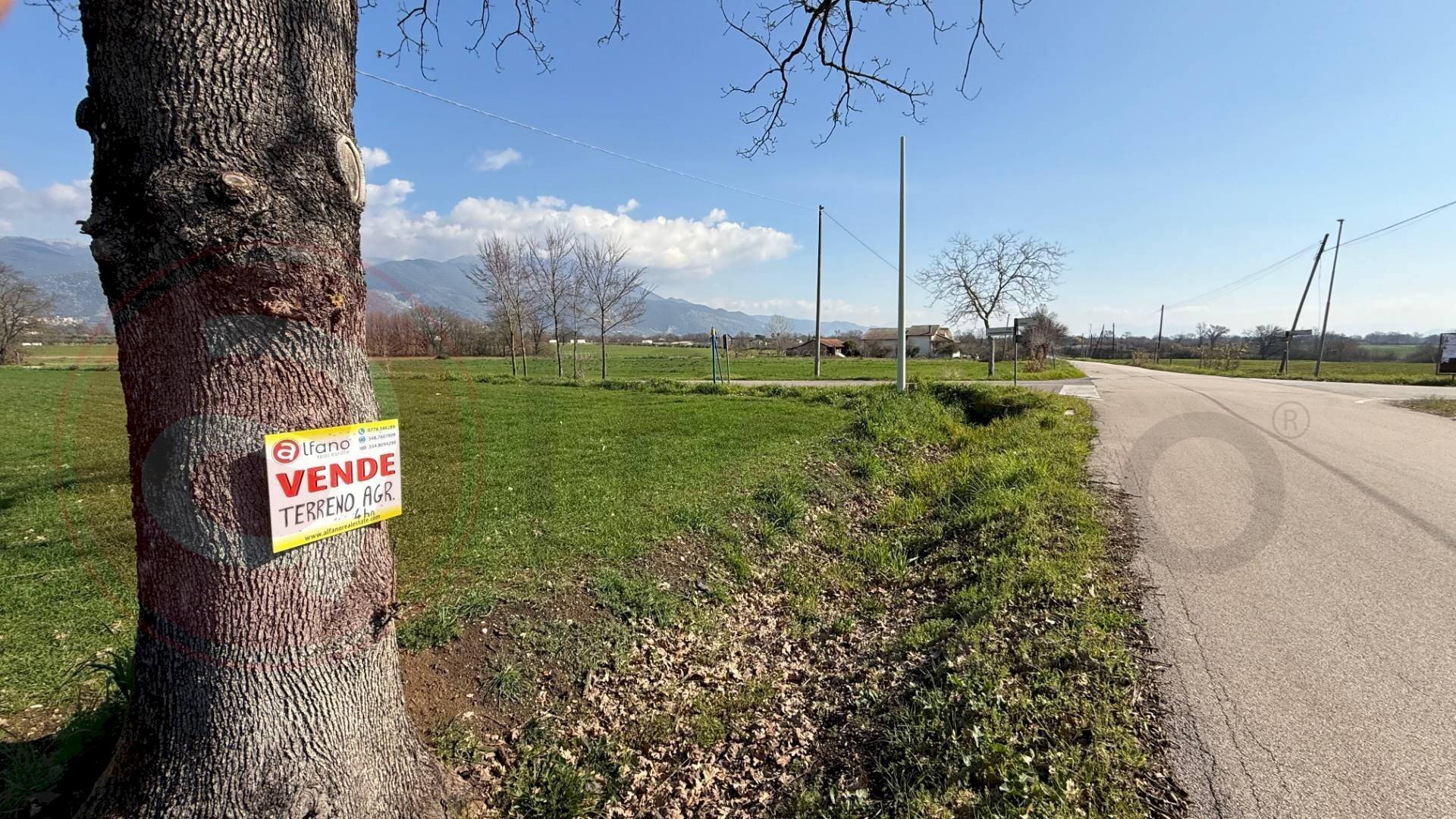 Foto 3 - Terreno agricolo Via Latina, Roccasecca - foto 3