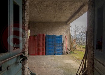 Foto 70 - Casa indipendente Via Santa Maria Pugliano
 
snc, Paliano - foto 70