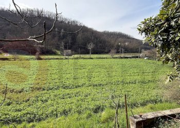 Foto 17 - Rustico Via Pietro Nenni
 
snc, Arpino - foto 17