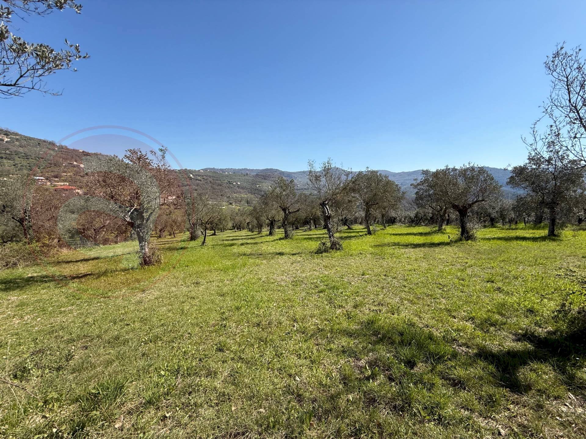 Foto 3 - Rustico Contrada Vagni
 
snc, Arpino - foto 3