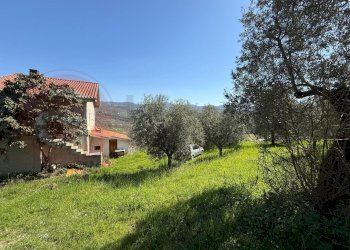 Foto 29 - Rustico Contrada Vagni
 
snc, Arpino - foto 29