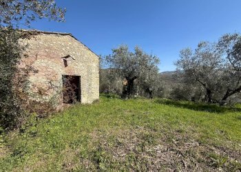 Foto 32 - Rustico Contrada Vagni
 
snc, Arpino - foto 32