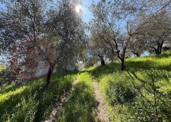 Foto 37 - Rustico Contrada Vagni
 
snc, Arpino - foto 37