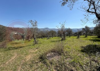 Foto 42 - Rustico Contrada Vagni
 
snc, Arpino - foto 42