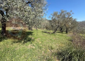 Foto 43 - Rustico Contrada Vagni
 
snc, Arpino - foto 43