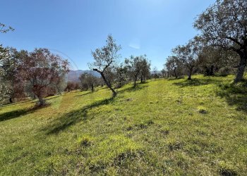 Foto 44 - Rustico Contrada Vagni
 
snc, Arpino - foto 44