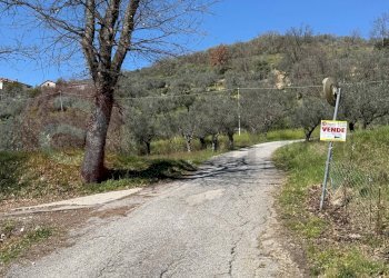 Foto 46 - Rustico Contrada Vagni
 
snc, Arpino - foto 46