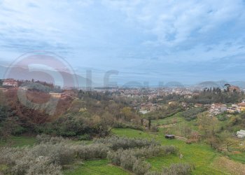 Foto 46 - Appartamento Viale America Latina
 
44, Frosinone - foto 46