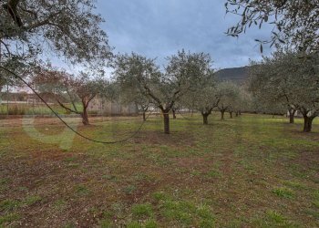 Foto 47 - Casa indipendente Via per la stazione di Aquino
 
38, Castrocielo - foto 47