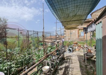 Foto 23 - Rustico Via Rosmarino, Esperia - foto 23