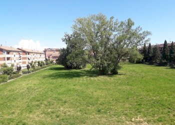 Foto 17 - Trilocale Alessandria - foto 17