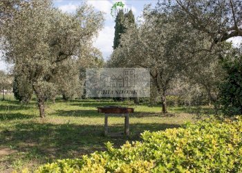 Foto 45 - Villa Morlupo - foto 45