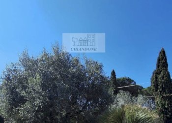 Foto 43 - Villa Morlupo - photo 43