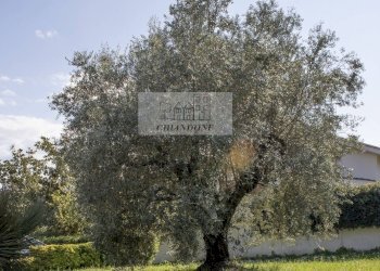 Foto 44 - Villa Morlupo - photo 44