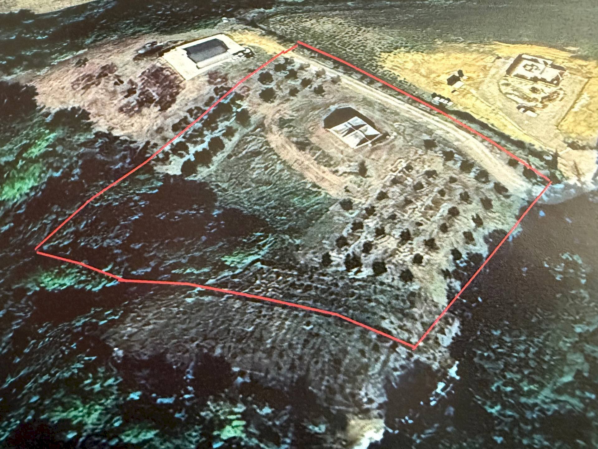 Foto 1 - Terreno agricolo Lapedona - foto 1