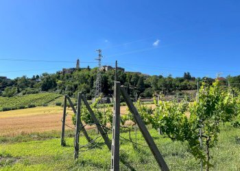 Foto 6 - Casa indipendente Petritoli - foto 6