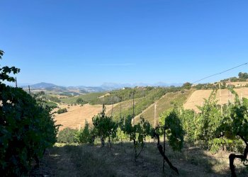 Foto 3 - Casa indipendente Contrada san savino, Petritoli - foto 3