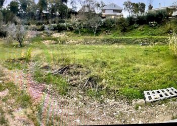 Foto 7 - Agriturismo Cupra Marittima - foto 7