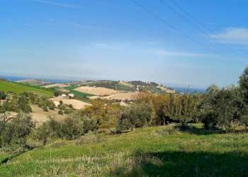 Foto 13 - Casa indipendente Via Licini, Fermo - foto 13