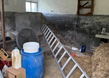 Foto 36 - Casa indipendente Via Licini, Fermo - foto 36