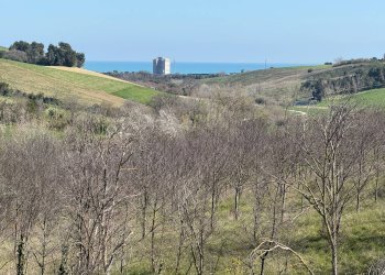 Foto 3 - Casa indipendente Fermo - foto 3