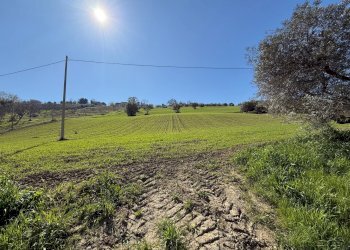 Foto 4 - Casa indipendente Fermo - foto 4