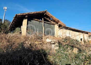 Foto 11 - Rustico VIA SAN DANIELE, Colloredo di Monte Albano - foto 11