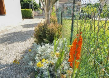 Foto 13 - Casa semi indipendente via veneto, Udine - foto 13