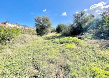 Foto 2 - Terreno agricolo Fondo Chiusa Grande
 
SNC, Palermo - foto 2