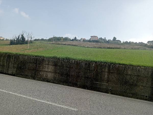 Foto 3 - Terreno agricolo via Brecce, Loreto - foto 3