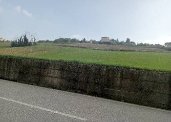 Foto 3 - Terreno agricolo via Brecce, Loreto - foto 3