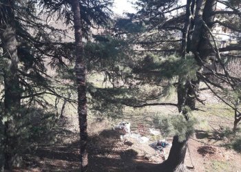 Foto 9 - Villa Cairate - foto 9