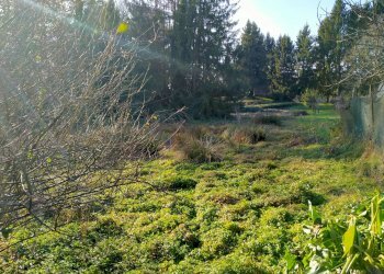 Foto 2 - Rustico casale litta
 
27, Casale Litta - foto 2