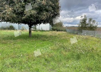 Foto 35 - Capannone Castello d'Argile - foto 35