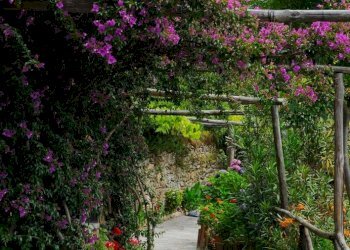 Foto 6 - Rustico via casone, Pietrasanta - foto 6