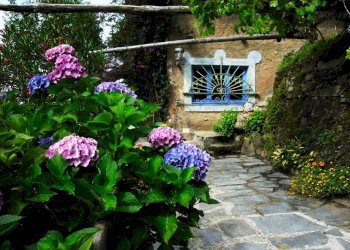 Foto 7 - Rustico via casone, Pietrasanta - foto 7