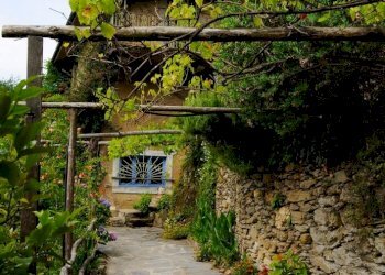 Foto 8 - Rustico via casone, Pietrasanta - foto 8