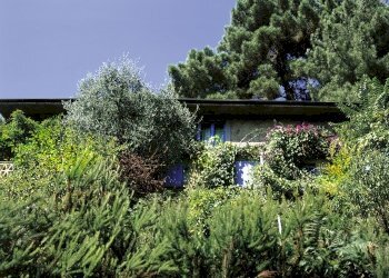 Foto 10 - Rustico via casone, Pietrasanta - foto 10