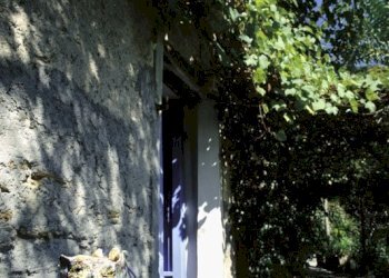 Foto 47 - Rustico via casone, Pietrasanta - foto 47