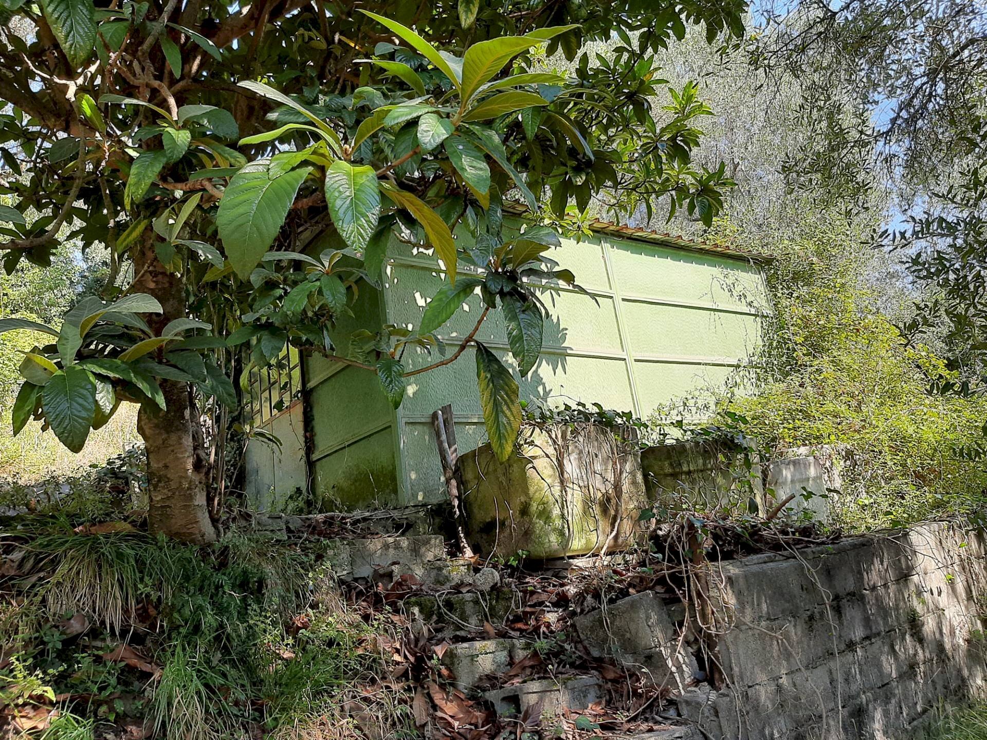 Foto 1 - Agriturismo VIA DEL VALENTINO, Massarosa - foto 1