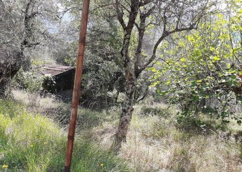 Foto 4 - Agriturismo VIA DEL VALENTINO, Massarosa - foto 4