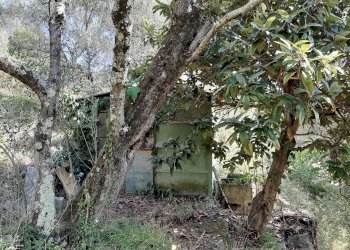 Foto 7 - Agriturismo VIA DEL VALENTINO, Massarosa - foto 7