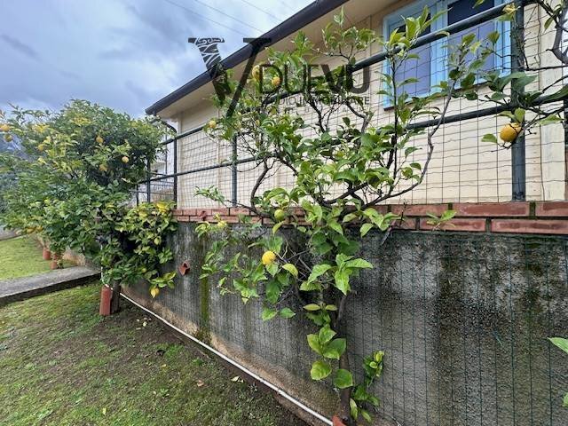 Foto 3 - Agriturismo Via Forni, Seravezza - foto 3