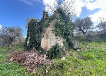 Foto 1 - Terreno agricolo Chiuse, Perdifumo - foto 1