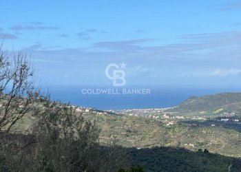 Foto 3 - Terreno agricolo Chiuse, Perdifumo - foto 3