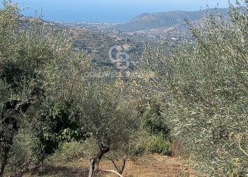 Foto 4 - Terreno agricolo Chiuse, Perdifumo - foto 4