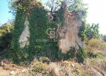 Foto 7 - Terreno agricolo Chiuse, Perdifumo - foto 7