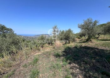 Foto 9 - Terreno agricolo Chiuse, Perdifumo - foto 9